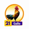 Gallo