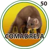 Comadreja