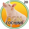 Cochino