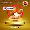 Gallina